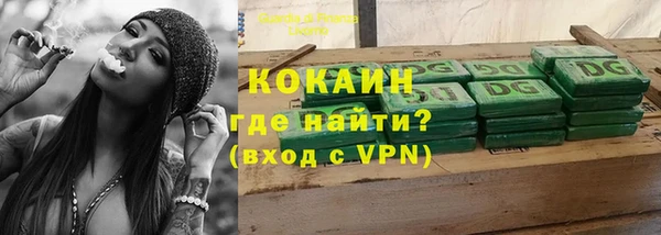 дмт Гусев
