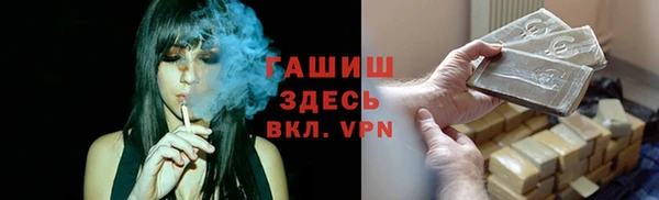 дмт Гусев