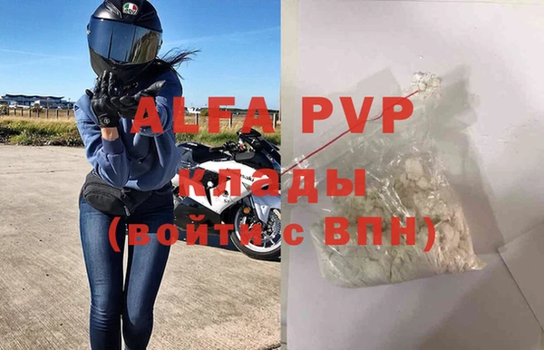 дмт Гусев