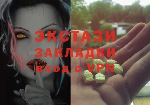 дмт Гусев